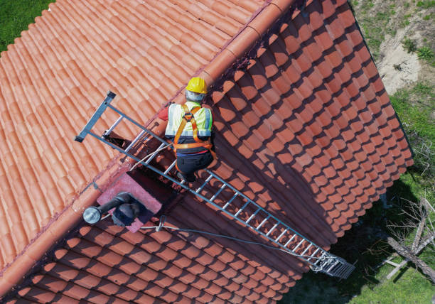 Best Asphalt Shingle Roofing  in Chauvin, LA